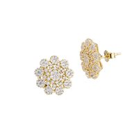 Earrings Bottega Boccadamo Woman in Silver Zircone BOR194D